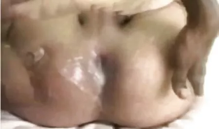 高い足を持ち上げる愛のお尻を舐めている成熟した黒檀の女性の猫 無料 エッチ 女